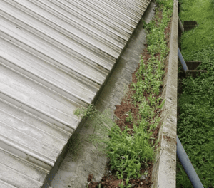 Happy customers in Benson who trust The Roof Moss Cleaners for gutter cleaning services